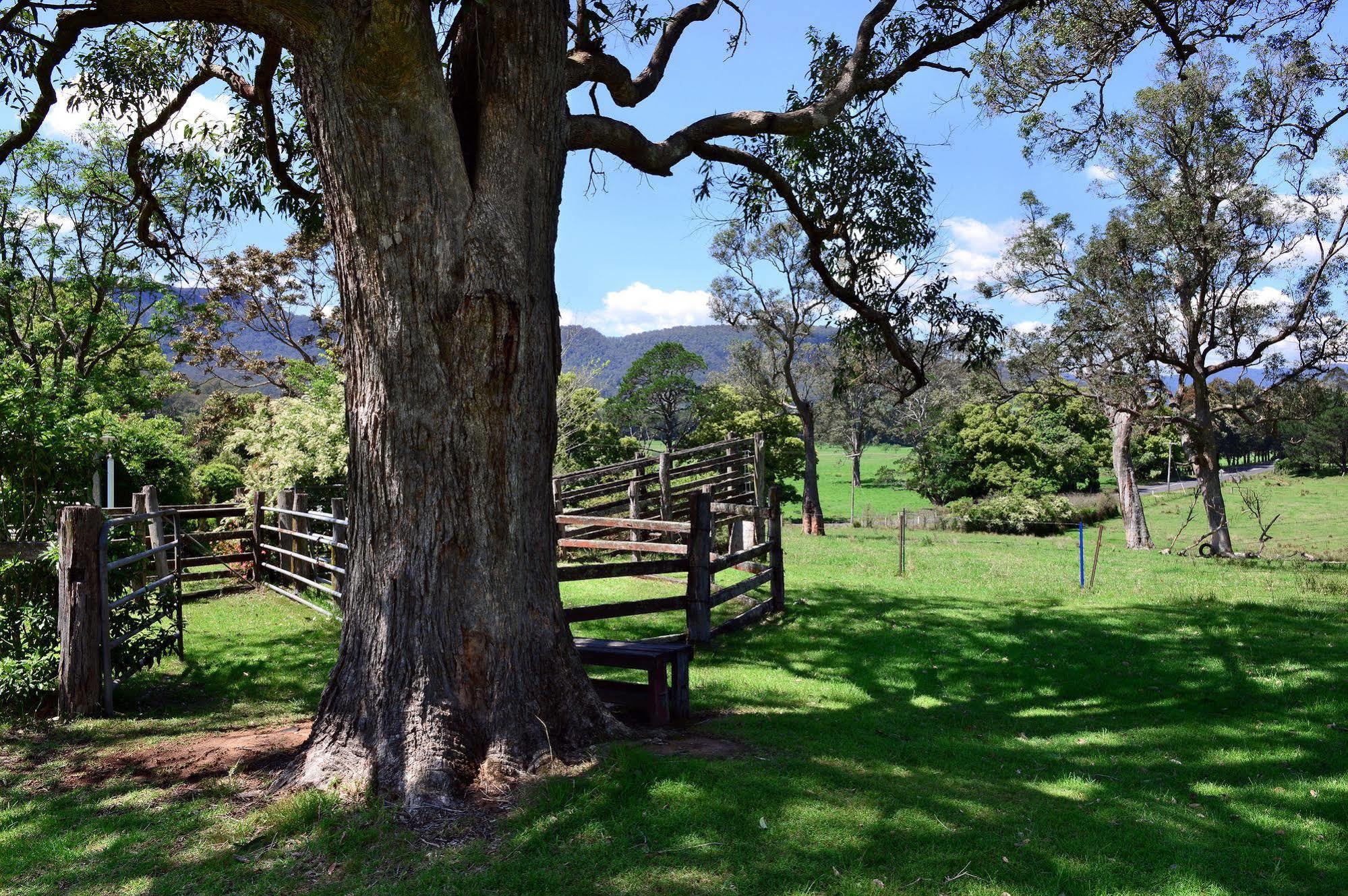 The Laurels B&B Kangaroo Valley Exterior photo